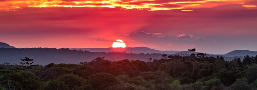 Nambucca Heads
